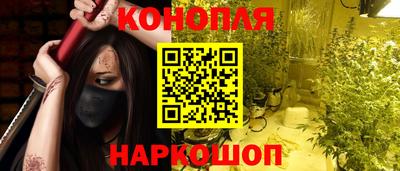 шишки Будённовск