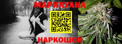 шишки Будённовск