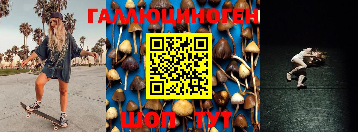 Псилоцибиновые грибы Magic Shrooms Сафоново